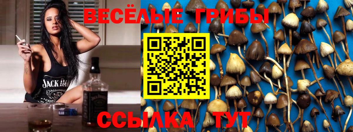Галлюциногенные грибы MAGIC MUSHROOMS  Псилоцибиновые грибы мухоморы  Якутск  Вход с VPN 