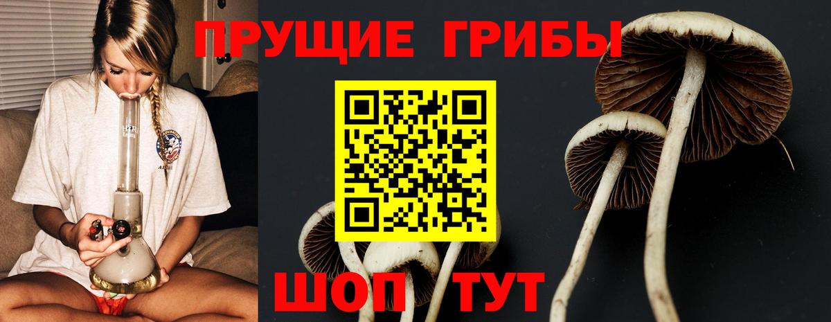 Псилоцибиновые грибы MAGIC MUSHROOMS Якутск